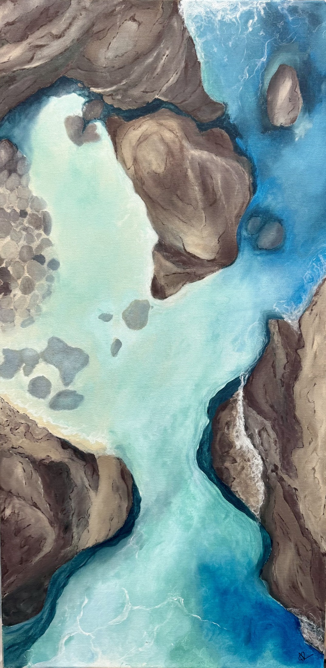 The Cove by Sophie Ratcliffe